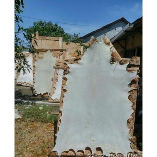 Kulit Kambing Kulit Lembaran Bahan Rebana Hadroh Kulit Bedug Jumbo