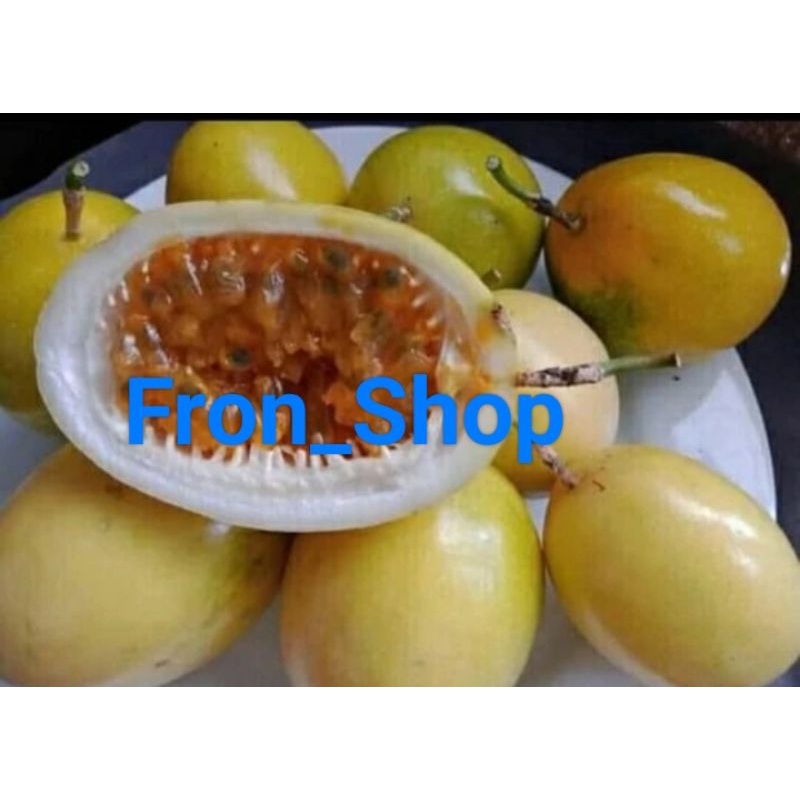 

Buah Markisa Kuning | Buah Markisa Segar Markisa Presh Siap Jadikan Jus / Rujak (1Kg) Promo