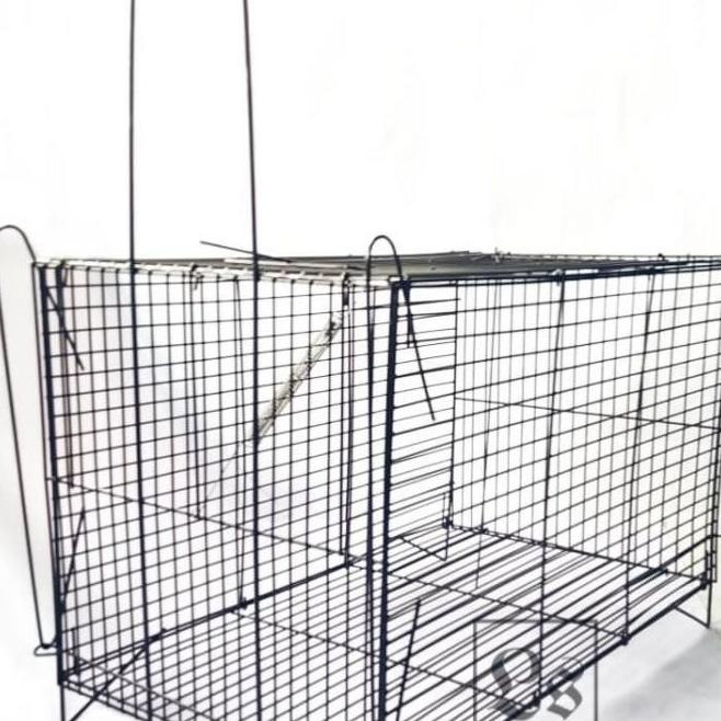 Kandang Jebakan/Perangkap Kucing/Musang/Tikus/Kelinci Lipat Jumbo