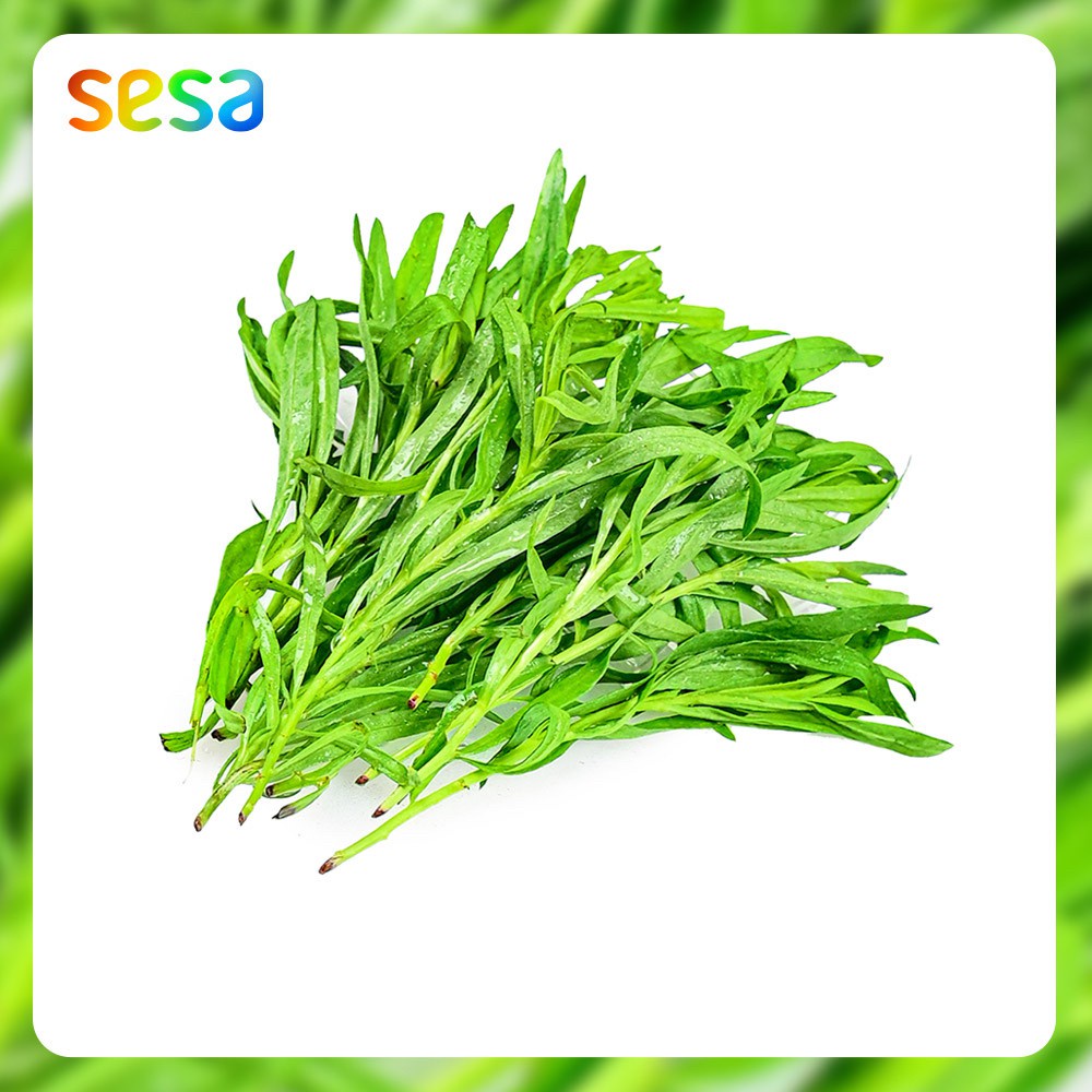 

Tarragon Organik 50 g