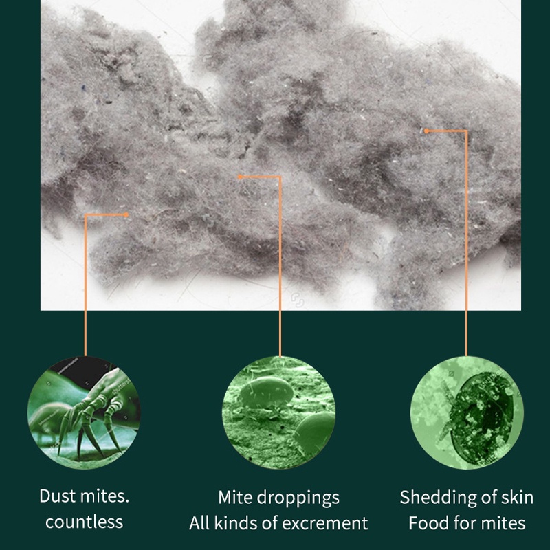 Wireless Dust Mite Vacum Cleaner Penyedot Debu Electric Anti-dust Mites Remover Dust Collector for Bed