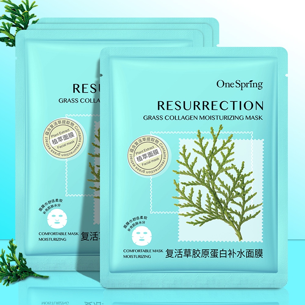 [BISA COD] ONE SPRING PLANT EXTRACT SHEET MASK MASKER WAJAH