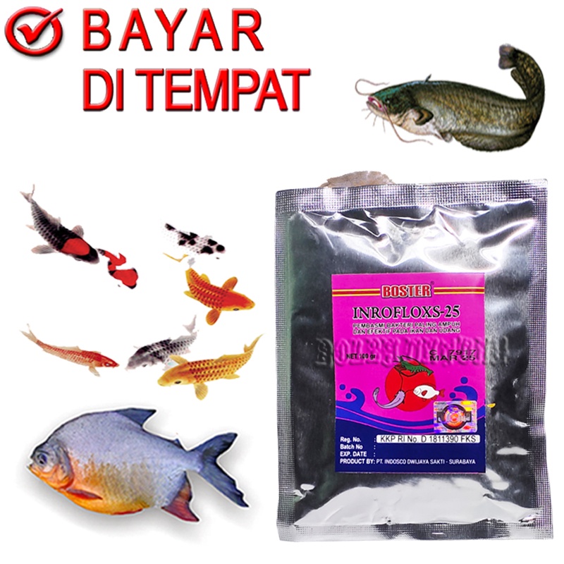 INROFLOXS 25 SERBUK BOSTER OBAT JAMUR IKAN MAS PATIN NILA LELE PATIN