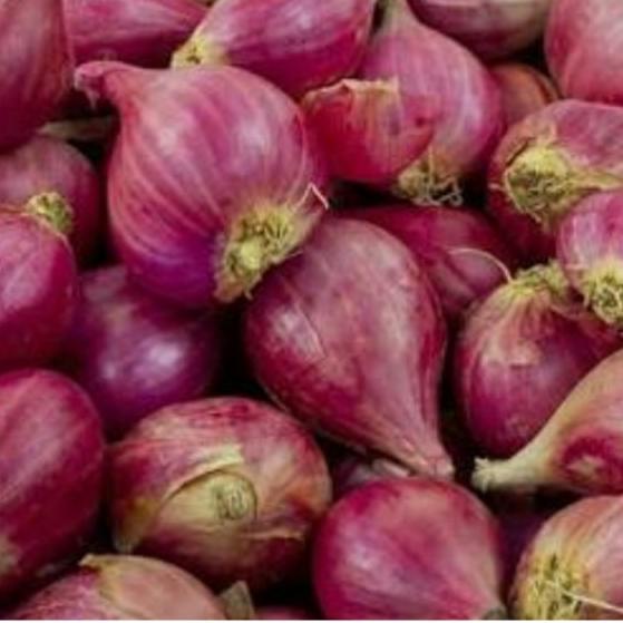 

Promo | TD4 | Bawang Merah Organik 300g / Red Onion / Shallot 300g