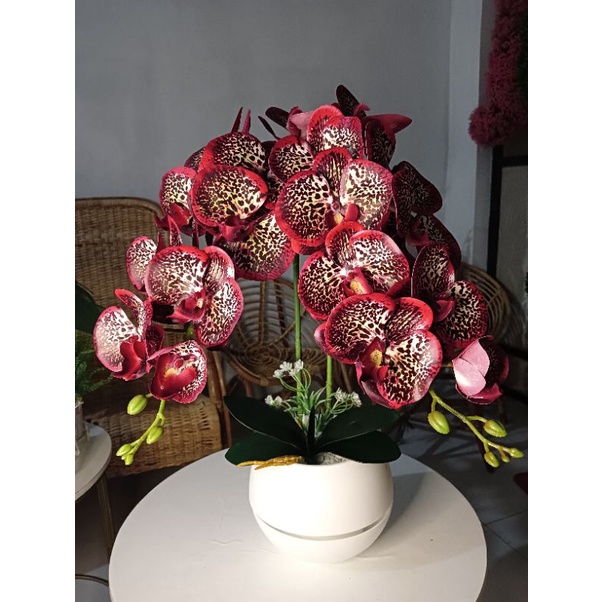 Bunga anggrek latex jumbo premium SET