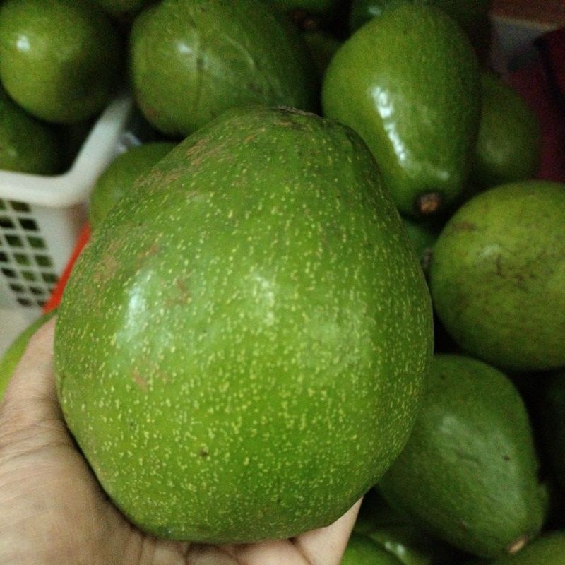 

alpukat mentega