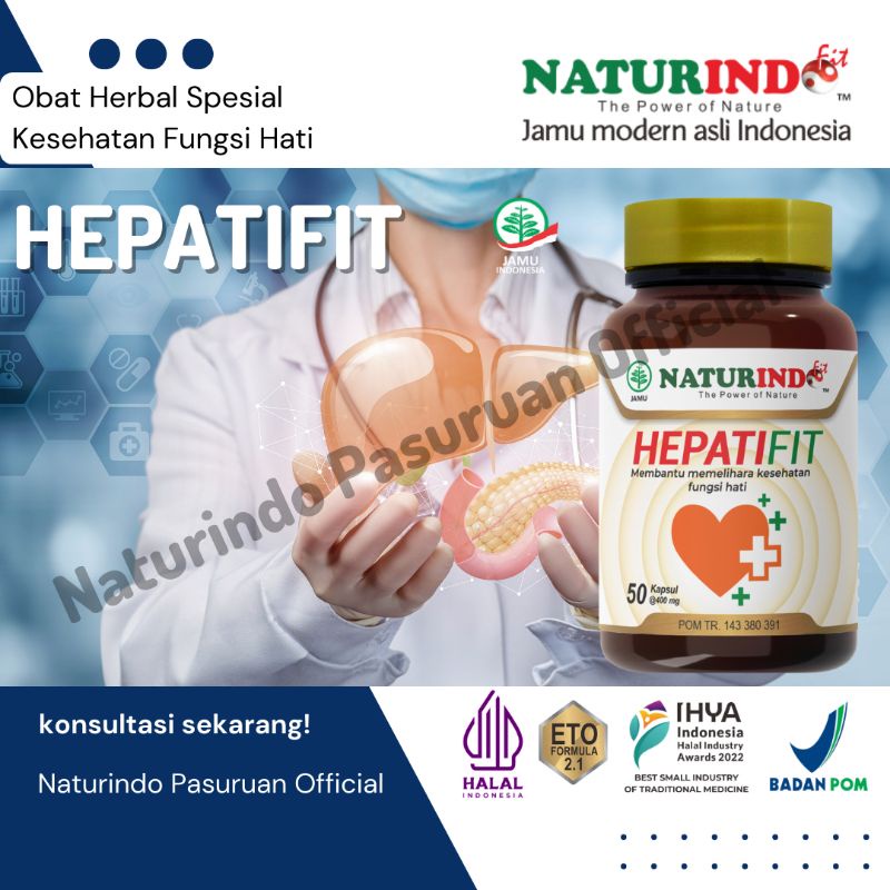 Obat Herbal Sakit Hati Liver  Bengkak Hepatitis A B Hepatifit Naturindo 40 kapsul