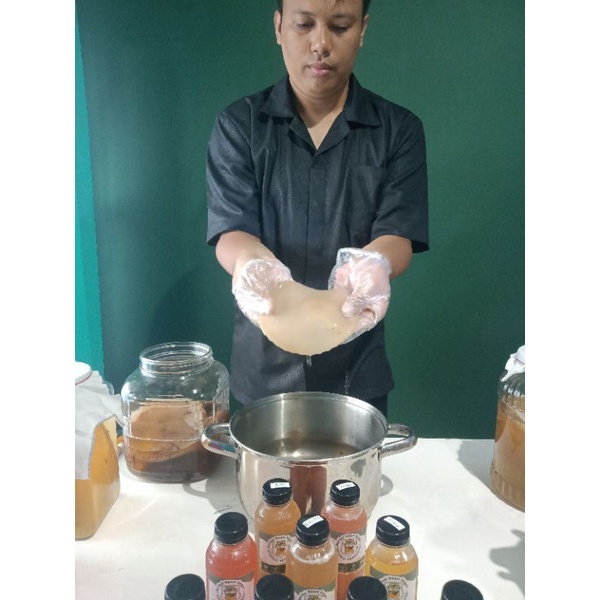 

scoby besar sehat untuk kombucha plus starter grade 1 putih (baby scoby)