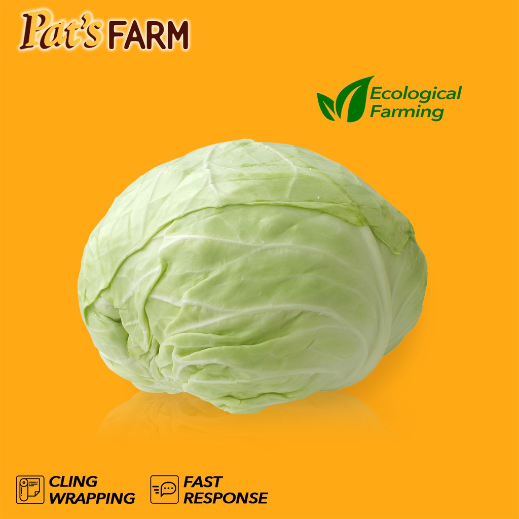 

Kol Putih (Lokal) / Kubis