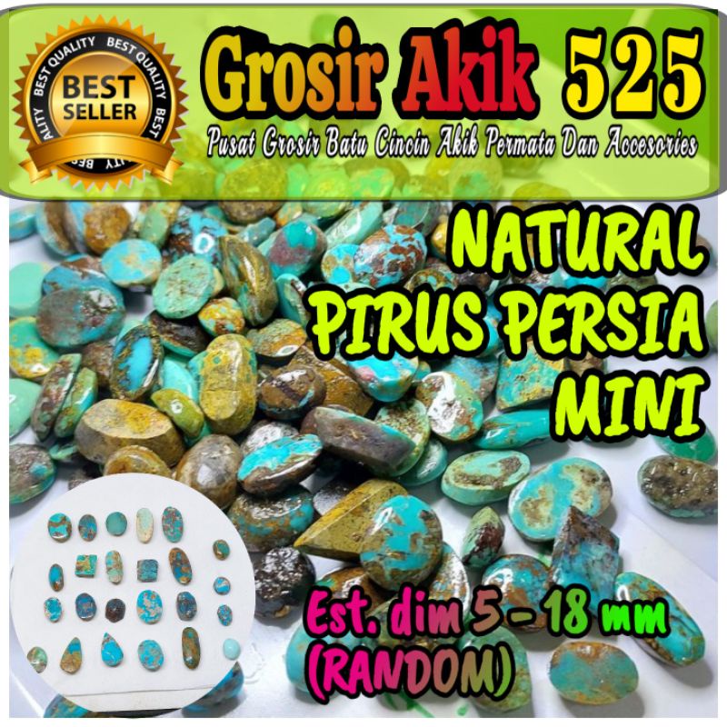 pirus persia mini / borongan murah pirus persia mini 10pcs