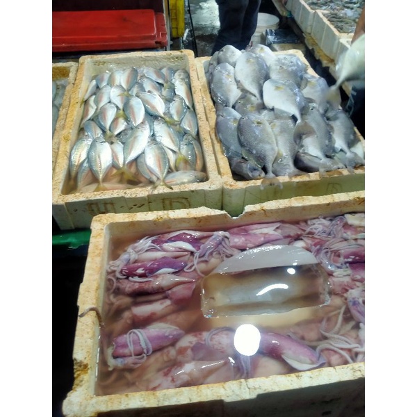 

paket frozen lengkap