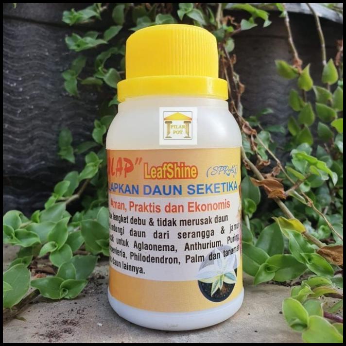 Semir Pengkilap Daun Tanaman Hias Kilap Leafshine Spray 100Ml Original