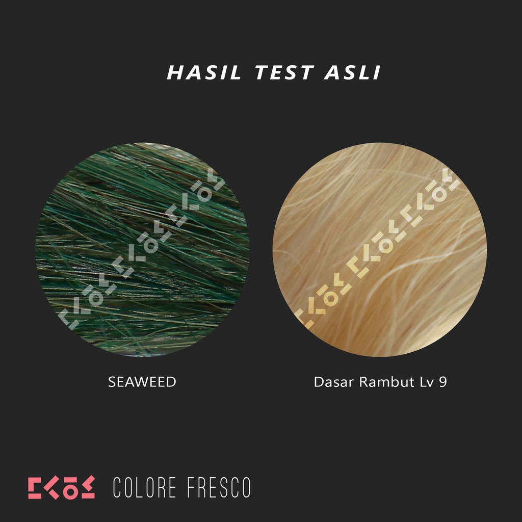 IMEMY COLORE FRESCO SEAWEED COLOR CREAM CAT PEWARNA RAMBUT SALON WARNA RUMPUT LAUT