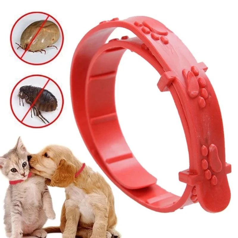 Kalung Kucing Anjing Anti Kutu - Pest Control Collar Super Ampuh Efektif Basmi Serangga Bulu Kucing