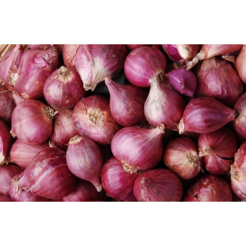 

Bawah Merah Super 1kg