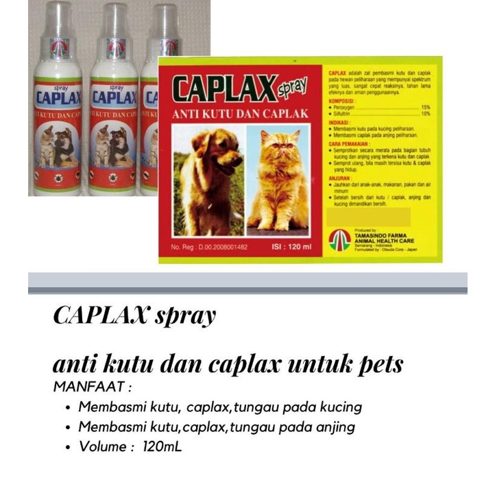 Caplax spray kutu hewan