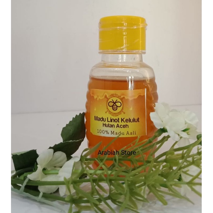 

Madu Linot Hutan Aceh Kelulut Trigona 120ml Original Bpom