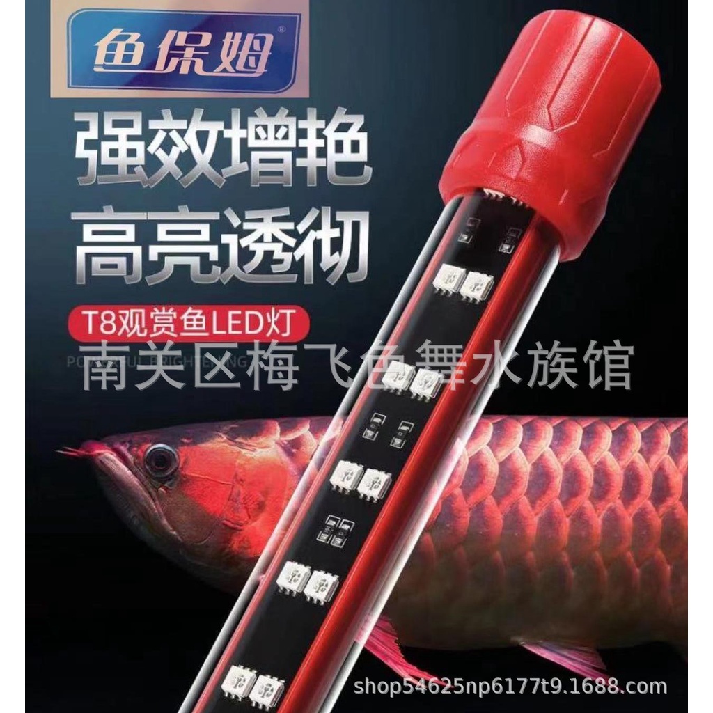 LAMPU LED VIEW KANDILA PRO RED AQUARIUM IKAN AROWANA / ARWANA / KOKI / DISCUS