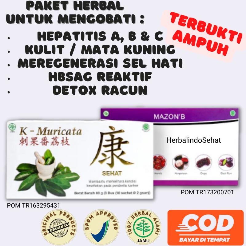 Obat Terapi Penyakit Hati Liver Virus Hepatitis A B C Kronis Herbal K-Muricata & Mazon B Original Me