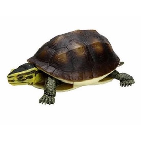 Diskon Spesial Gashapon Kame Vol 4 Alligator Snapping Turtle Black Terbaru