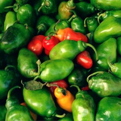 

cabe cabai gengot bendot gendol segar 500gr sayur- buah fresh bandung