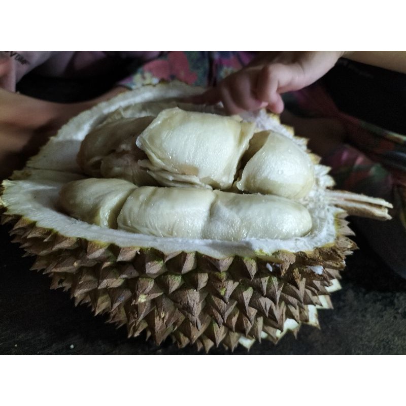 

Durian