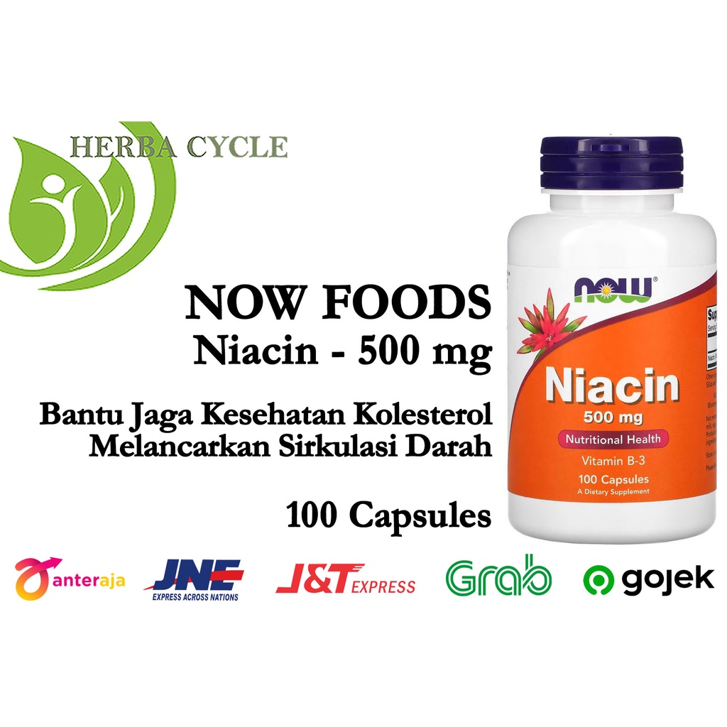 Now Food Niacin 500 mg 100 Capsules Vitamin B-3 Jaga Kesehatan Kolesterol ORI USA Niacin