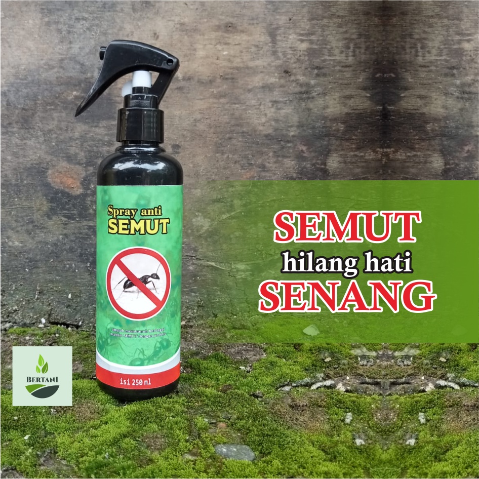PEMBASMI SEMUT RUMAH | Semut Merah Regent Rangrang 250ml
