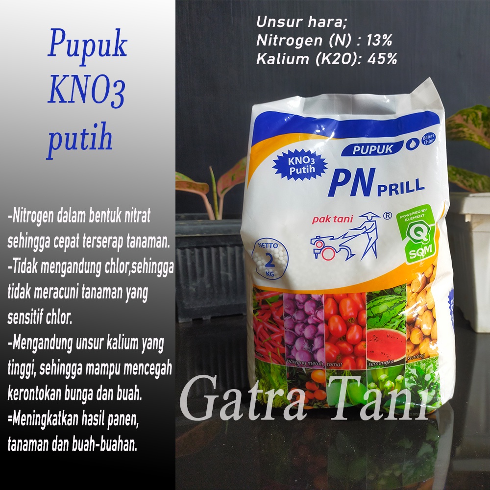 KNO3 putih PN prill pak tani 2 kg
