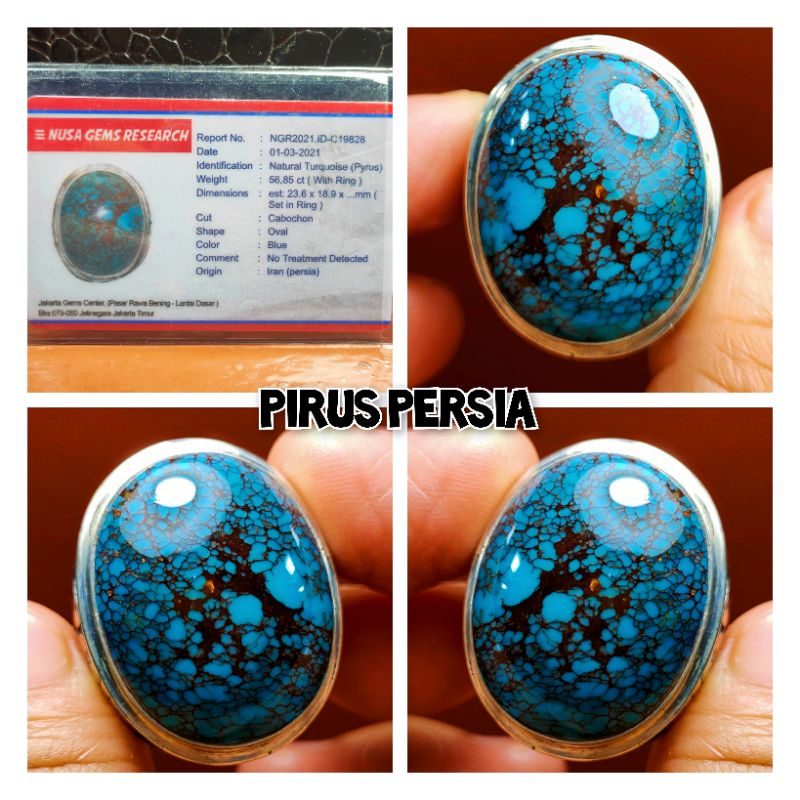 PIRUS PERSIA SUPER KUNO KUNO