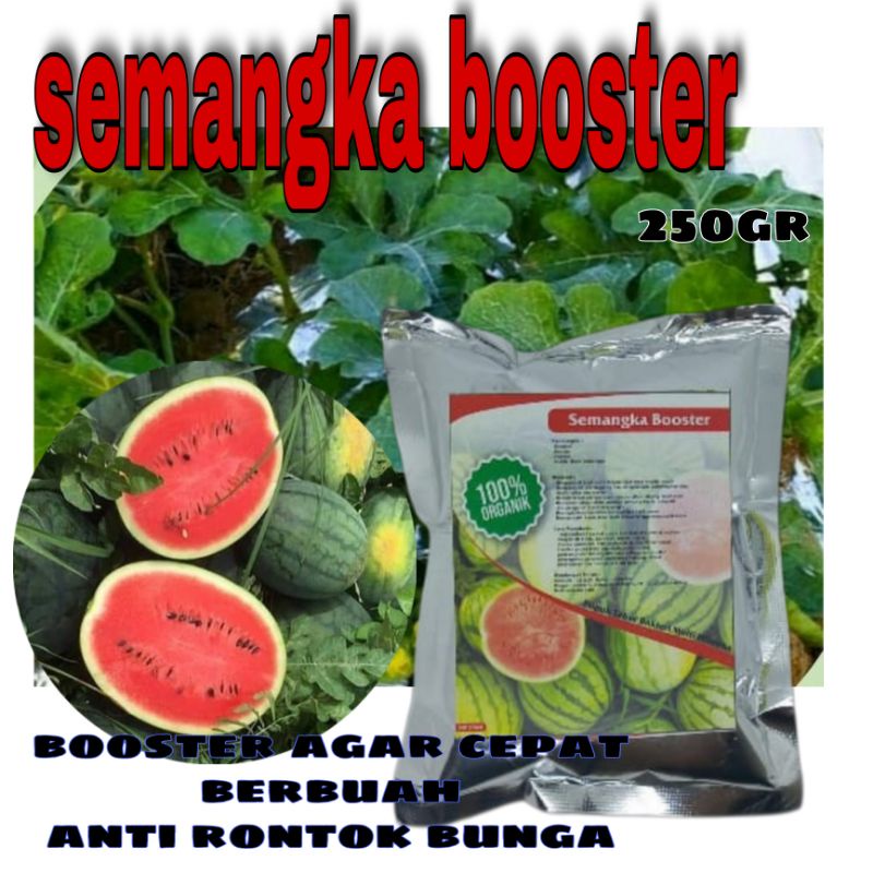 pupuk semangka organik semangka booster pupuk organik semangka pupuk buah semangka pupuk pelebat bua