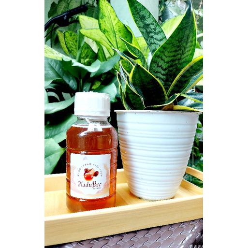 

MaduBee Kemasan 500ml