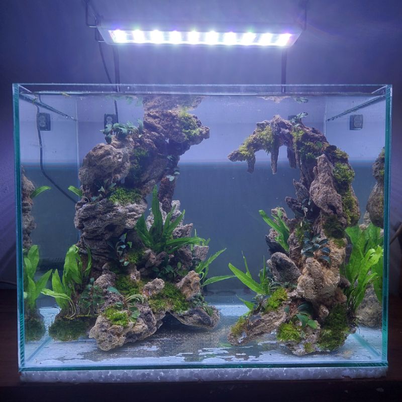 Hardscape Aquascape Hiasan Aquarium Tema Tebing Sandstone untuk Aquarium 40-50 cm