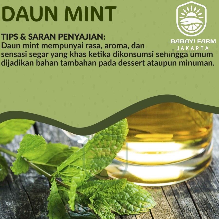 

daun mint 1 ikat