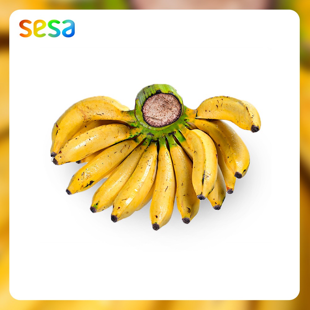 

PISANG Raja Sereh/Sisir - Buah Fresh Sehat