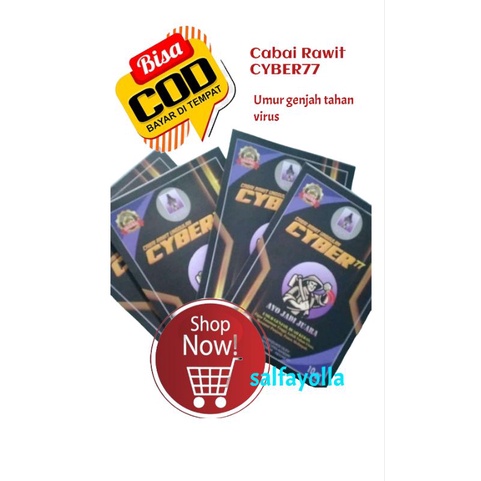 Benih Cabai Rawit CYBER77 10gr