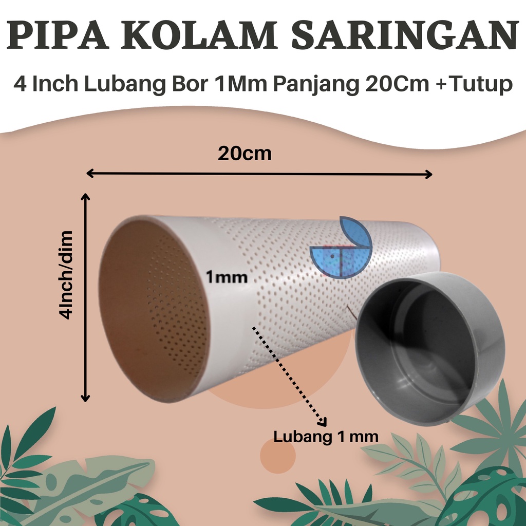 Pipa Saringan Kolam Paralon 4 Inch Lubang Bor 1Mm Panjang 20Cm +Tutup Untuk Ikan Hias Koi Arwana Lel
