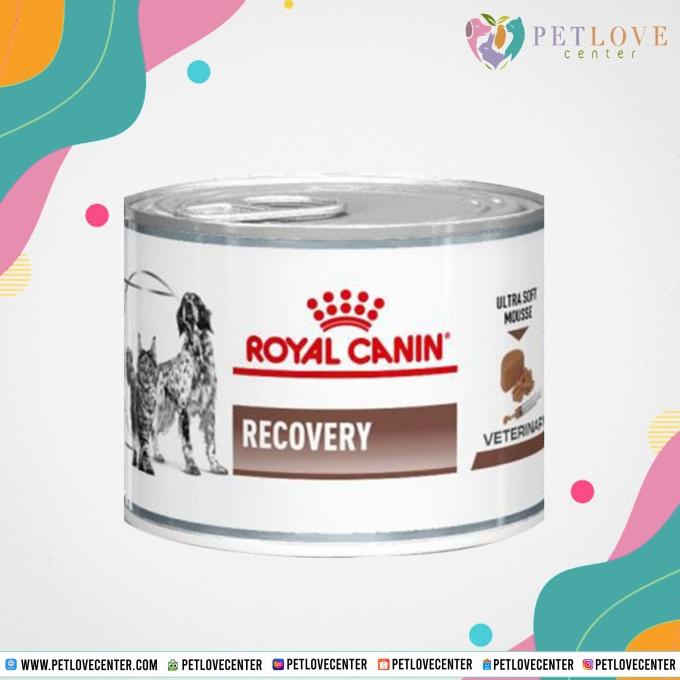TERLARIS Royal Canin Recovery 195g / Dog Food / Cat Food /PERAWATAN KUCING LENGKAP/PERAWATAN KUCING PERSIA/PERAWATAN KUCING KECIL/PERAWATAN KUCING HAMIL