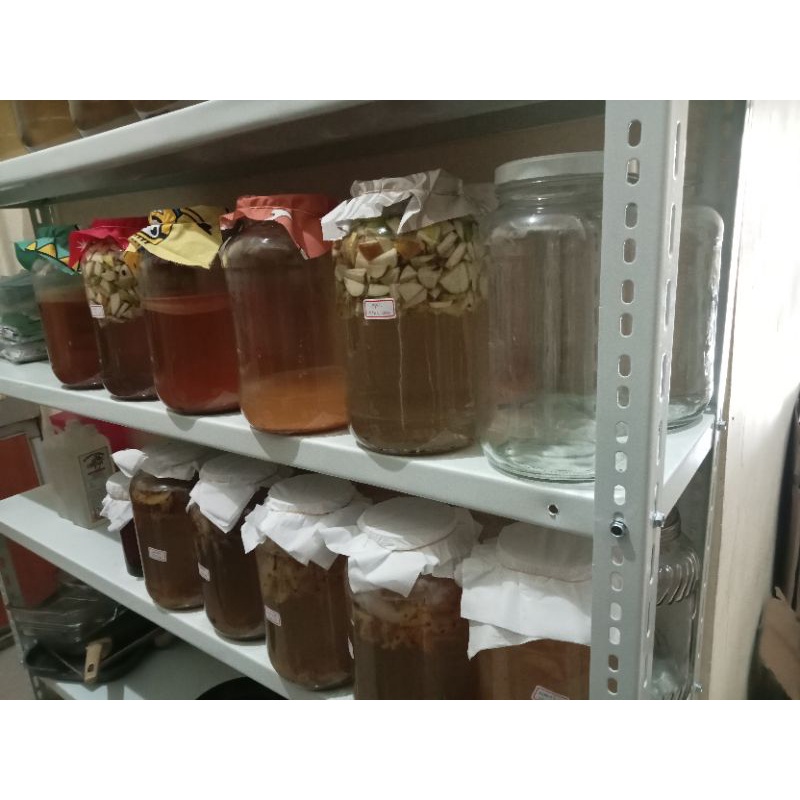

starter kombucha 1 liter umur 2 bulan lebih