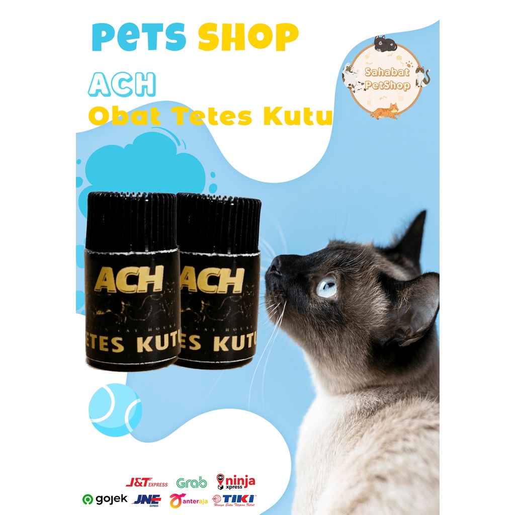 ACH obat tetes kutu kucing