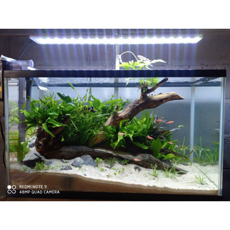 perlengkapan Aquarium