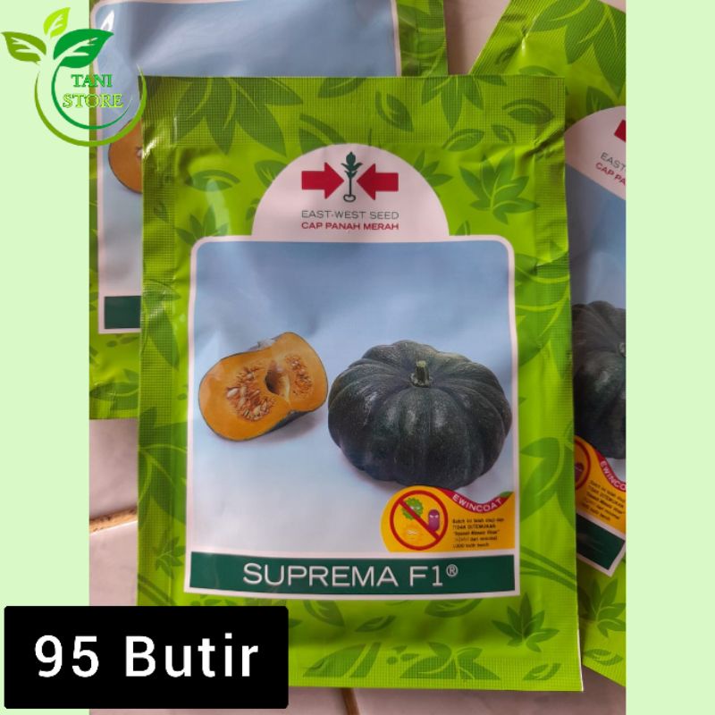 BIBIT LABU SUPREMA F1_PANAH MERAH_bibit labu