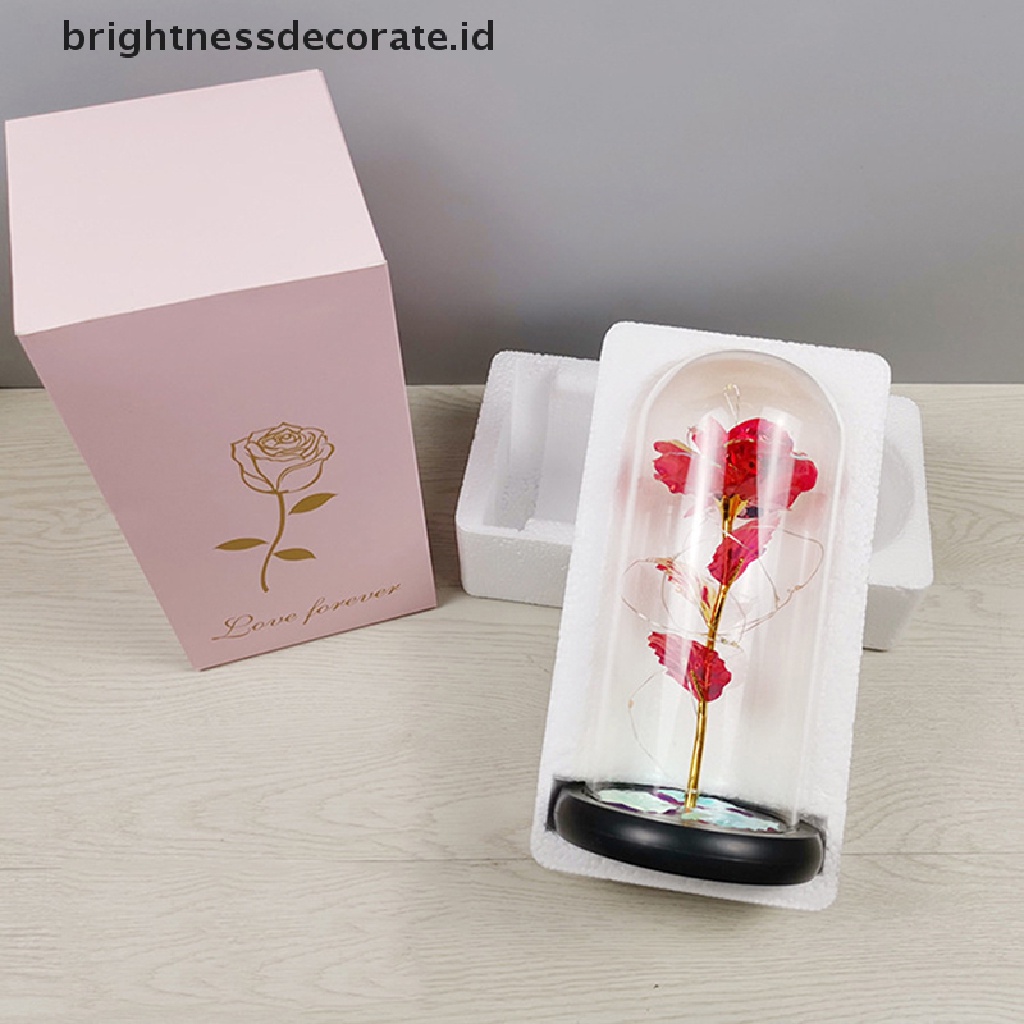 [Birth] Beauty and the Beast Bunga Mawar Penutup Kaca Lampu LED Valene's Day Gift [ID]