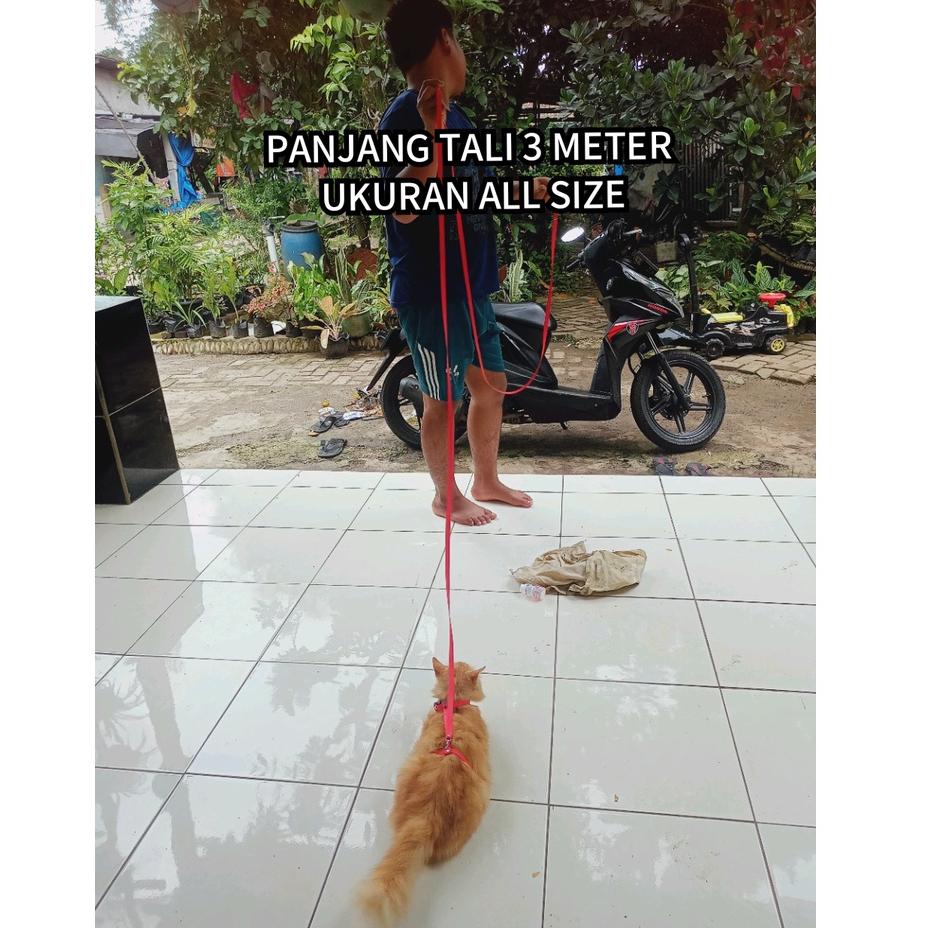 Trend Produk Hari Ini  [Dapat Emas] tali harness h kucing panjang 3 meter model di badan tali kucing