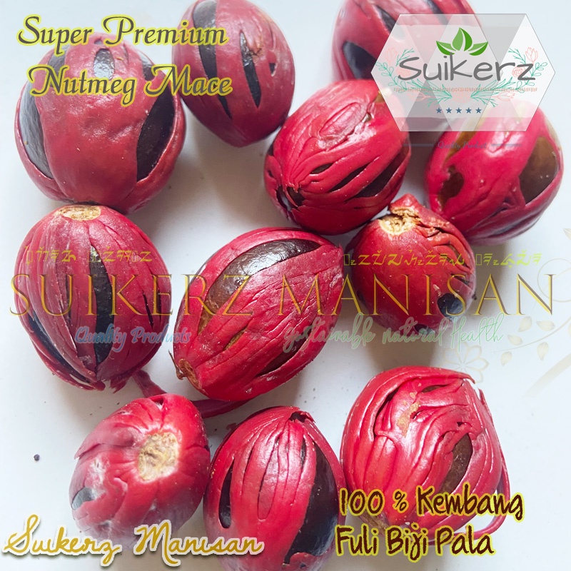 

biji pala tua super Premium kering 100% asli Murni rempah 50gr obat herbal bumbu dapur masak tradisional 50g original kualitas super