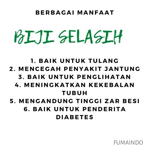 Biji Selasih 100gr / Basil Seed / Biji Selasih Besar &amp; Bersih / Rempah