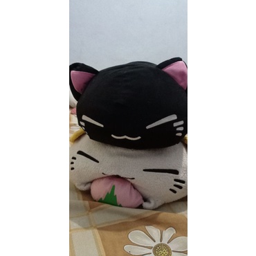 kucing furyu