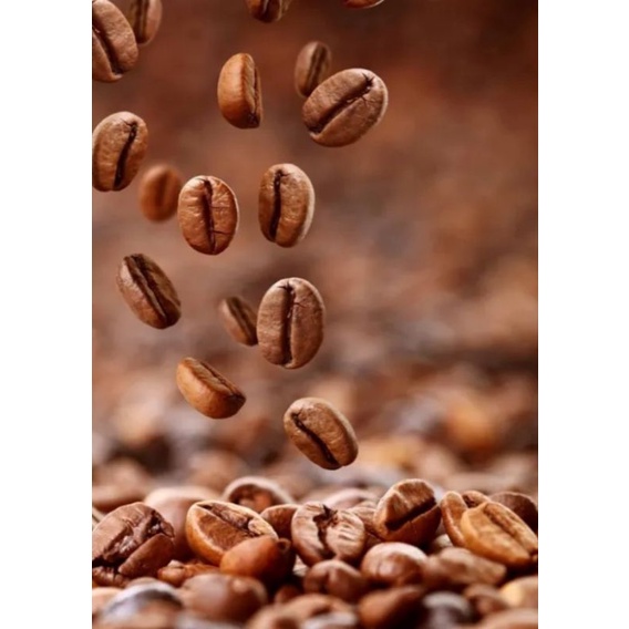 

Kopi Pahit Robusta Original 150 gram