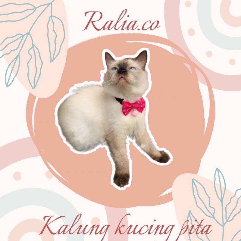 kalung PITA POLKADOT DOUBLE || KALUNG KUCING PITA POLKADOT