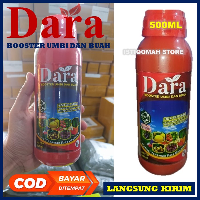 Pupuk Booster Buah Kacang Hijau DARA 500ML Pupuk Pelebat Buah Kacang Hijau yang Bagus - Pupuk Perangsang Bunga dan Buah Tanaman Kacang Hijau Terbaik Obat Pencegah Tanaman Kerdil dan Memperkuat Tanaman Kacang Hijau